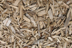 biomass boilers Delabole