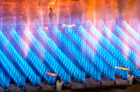 Delabole gas fired boilers